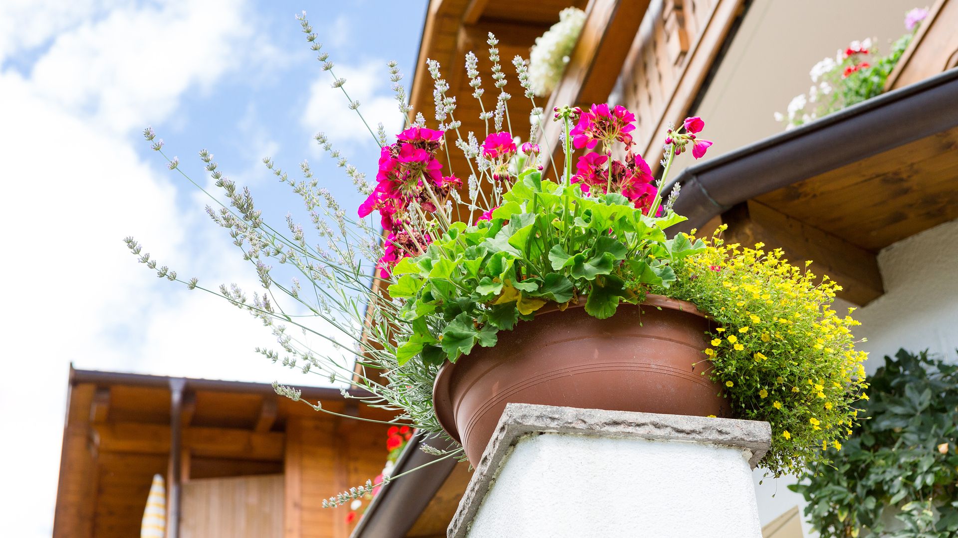 Urlaub Südtirol, Hotel Tenne in Schenna