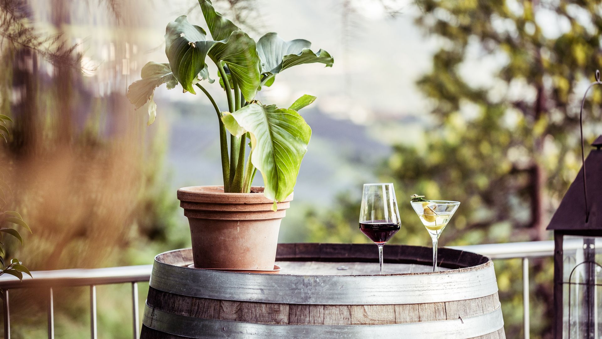 Südtiroler Wein und Spezialitäten genießen, Hotel Tenne Schenna